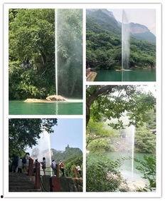 八里沟清凉一夏免费吃瓜,清凉一夏，免费瓜果盛宴来袭！