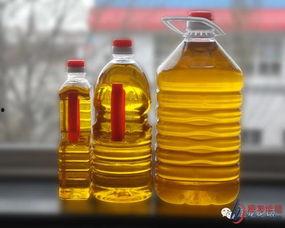 食用油厂家爆料视频,厂家爆料视频曝光惊人真相