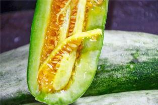 哪里可以吃网红的瓜,揭秘网红们的“瓜田”美食之旅