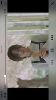 在线观看波波影院,在线观影新体验，畅享海量影视资源