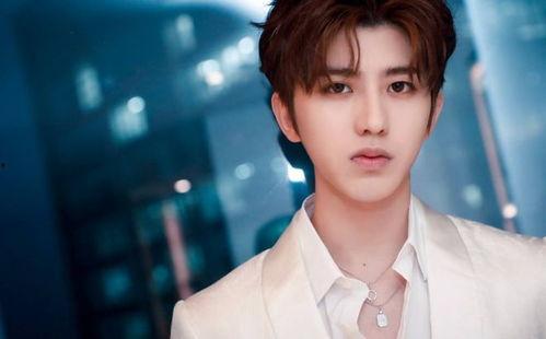 爆料者蔡徐坤视频在线观看,揭秘爆料者视角下的精彩瞬间