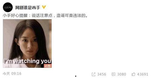 爆料杨紫偷税漏税视频,税务问题引发娱乐圈热议