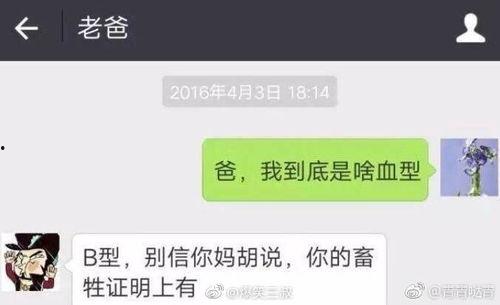 爆料新闻的图片搞笑,揭秘新闻界的“笑果”瞬间