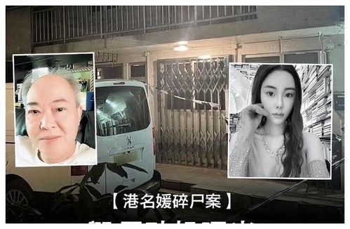 港媒爆料蔡天凤视频