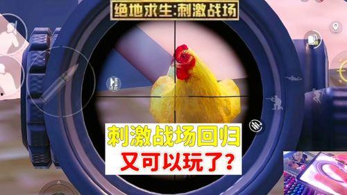 和平科技最新爆料消息,揭秘未来科技前沿突破