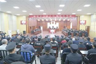 临颍新闻爆料事件最新,真相揭开，舆论漩涡中的正义较量