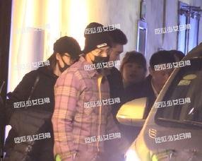 十一月娱乐八卦爆料新闻,十一月热点八卦大揭秘