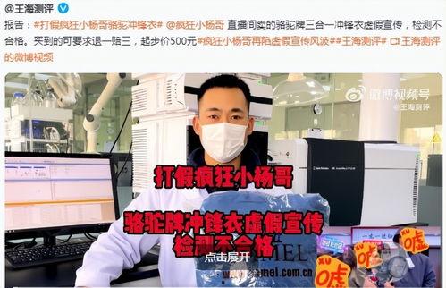 小杨哥事情爆料视频,事件背后惊人真相