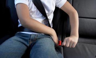 娱乐吃瓜酱安全带,揭秘娱乐圈那些不为人知的幕后故事